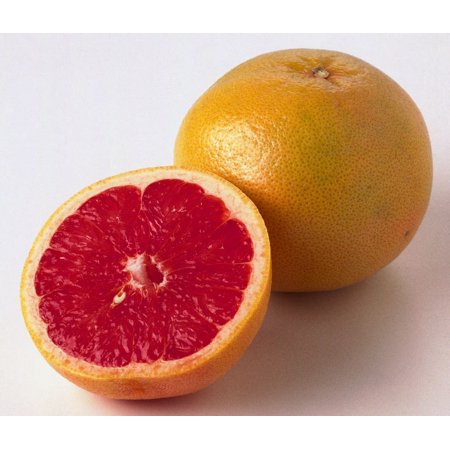 Citrus Grapefruit ea.