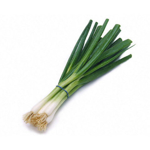Onion Green ea.