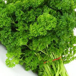 Herb Curly Parsley 1 bunch