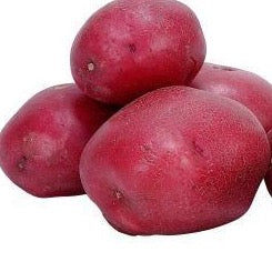 Potato 'B' Red 1lb. (average 5 per pound)