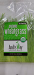 Organic Wheatgrass 1lb (7 day lead)